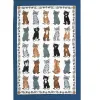 Ulster Weavers Ściereczka kuchenna 48x74 cm Kittens Arrived 022KIA New