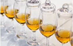 Amber Glass Factory Kieliszek do degustacji whisky 130 ml Amber G200 Sale
