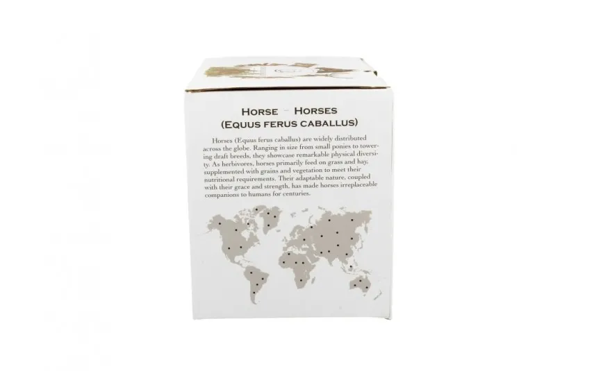 Duo Kubek porcelanowy 400 ml PORTRET KONIA Online