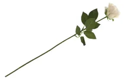Inna Kwiat Róża długa Clearance