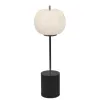 Witek Home Lampa stołowa Jabłko MT5069-1A srebrna (277920) Online