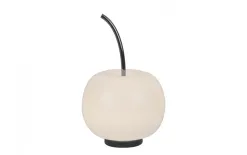 Witek Home Lampa stołowa Jabłko MT5069-1C-GL srebrna (277922) Online