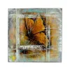 Witek Home Obraz na płótnie 100x100 cm Motyl brązowy Clearance