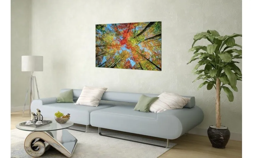 Witek Home Obraz szklany 120x80 Drzewa Clearance