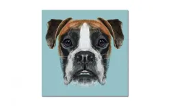 Witek Home Obraz szklany 60x60 Pies (260339) Best