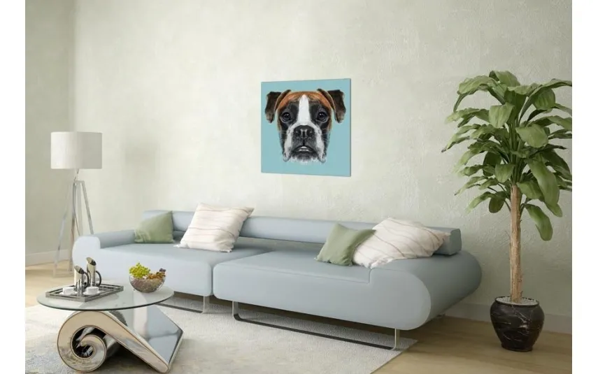 Witek Home Obraz szklany 60x60 Pies (260339) Best