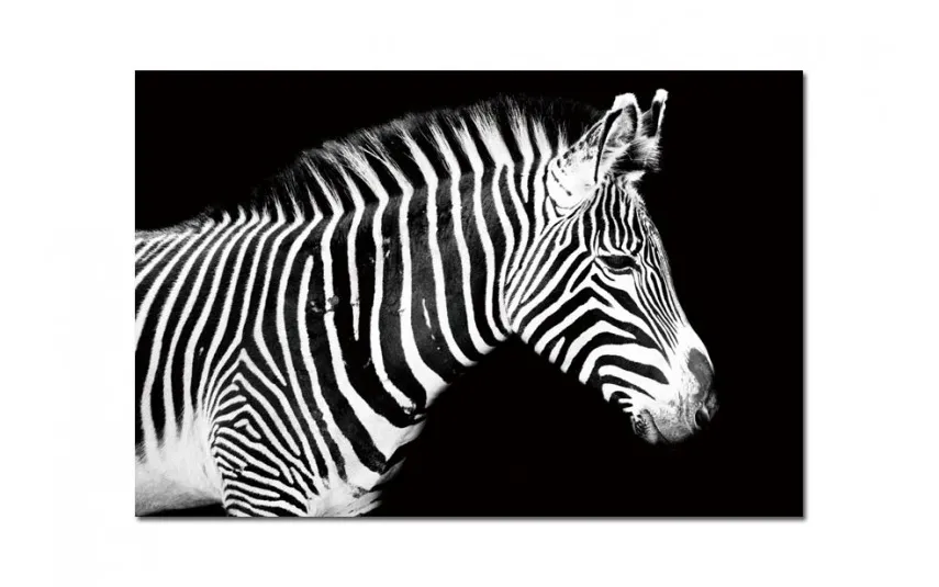 Witek Home Obraz szklany 120x80 Zebra (260280) Best