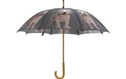 Mars&More Parasol Labrador Online