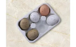 MPLCo Porcelanowy półmisek na jajka wytłoczka biała Outlet