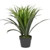 Witek Home Roślina doniczkowa Trawa 50cm (sztuczna) Outlet