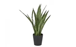 Witek Home Roślina Sansewieria gwinejska zielona 94cm (sztuczna) New