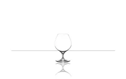 Rona Image Brandy 660ml Hot