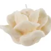 Witek Home Świeca róża cream Online