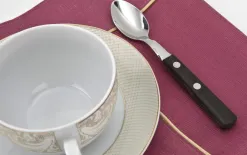 Tramontina Łyżeczka do herbaty Churrasco Hot